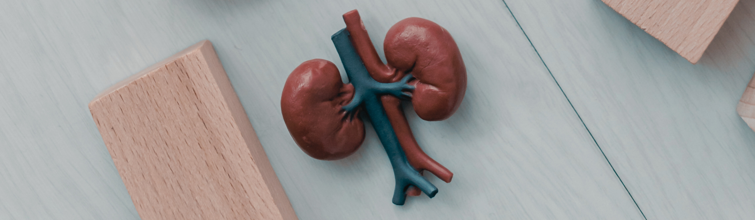 Robotasszisztált-nephrectomia-banner-2