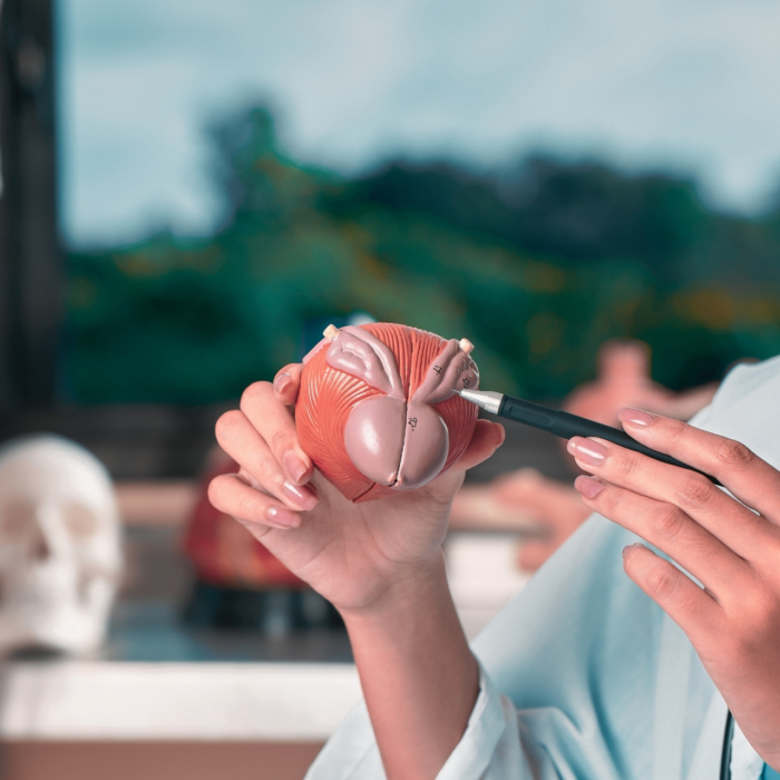 Mikor javasolt a műtét? 