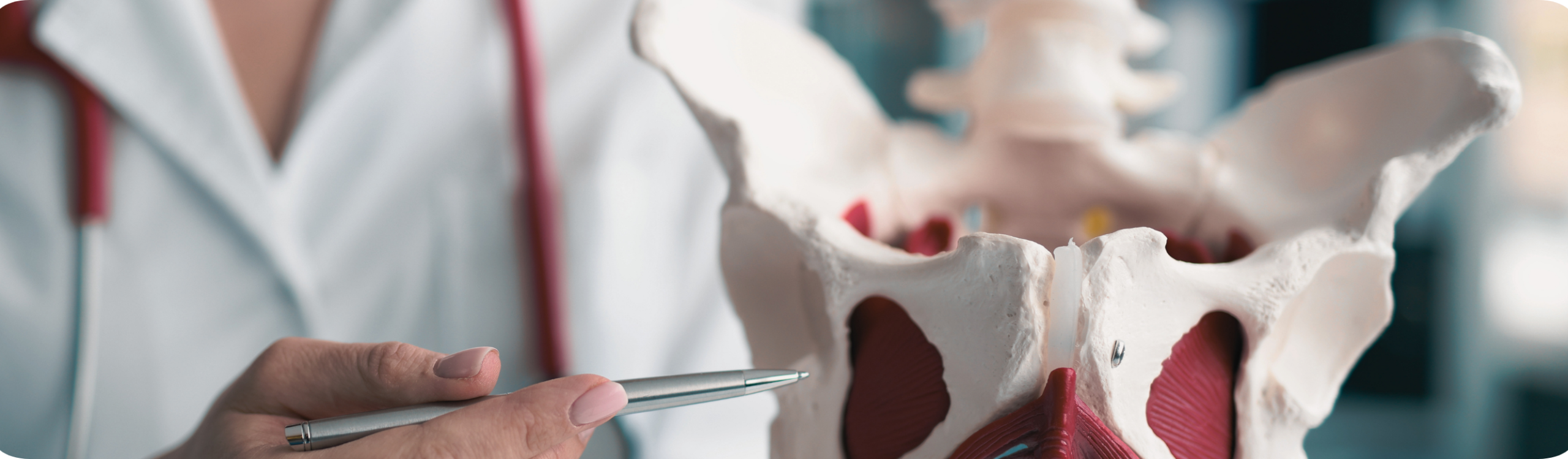 Robotasszisztált promontofixáció banner