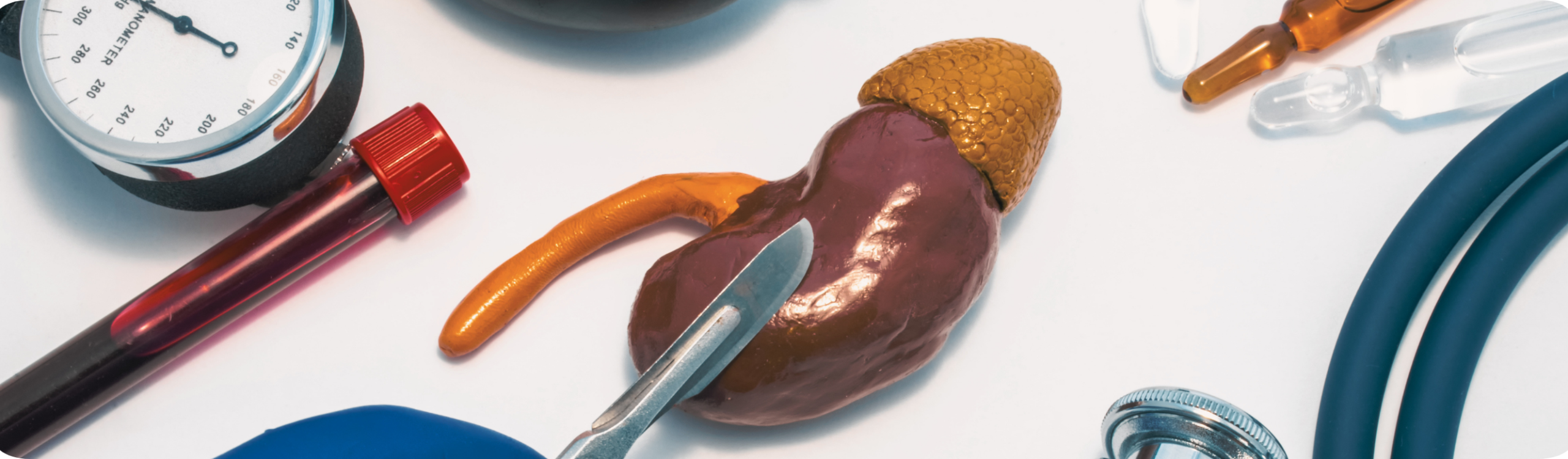 Robotasszisztált-veseeltávolítás banner